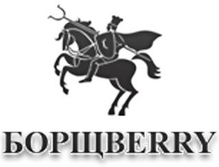 Борщberry лого