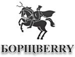 Борщberry