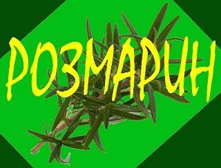 Розмарин лого