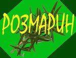 Розмарин