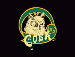 Сова лого