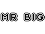 MR BIG
