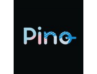 Pino лого