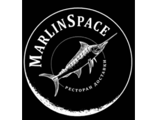 MarlinSpace лого