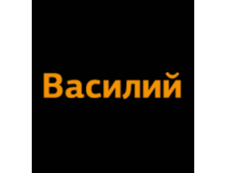 Василий лого