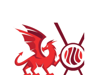 Красный Дракон лого