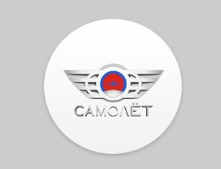 Самолет лого