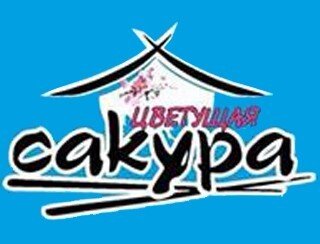 Цветущая Сакура лого