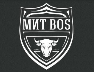 МИТ BOS лого