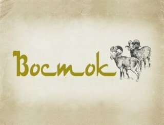 Восток лого