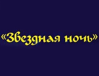 Звездная Ночь лого