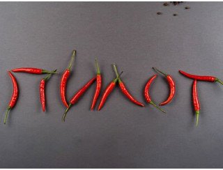 Пилот лого