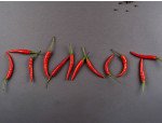 Пилот