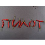 Пилот