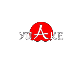 ЁАКЕ лого
