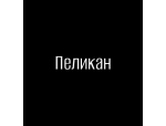 Пеликан
