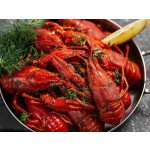 Всем ракам - DoneRaki