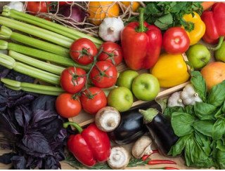 Фудкорт лого