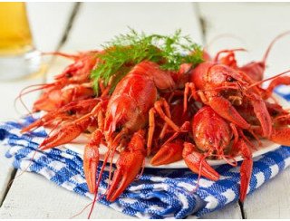 Раки Rakovichkof лого