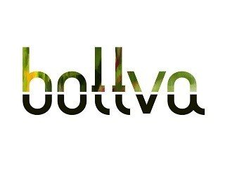 Bottva лого