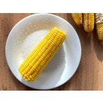 КУКУ В РУКУ