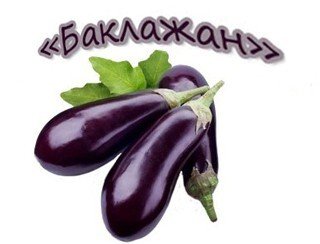 Баклажан лого