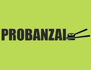 Банзай лого