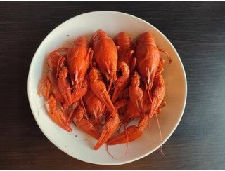 Карас лого