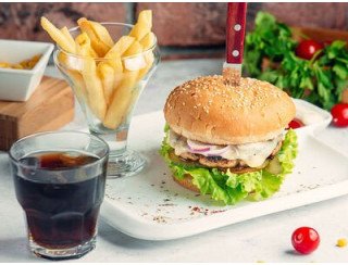 Dudu Сhicken лого