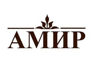 Амир лого