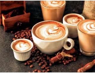 Discovery coffee лого