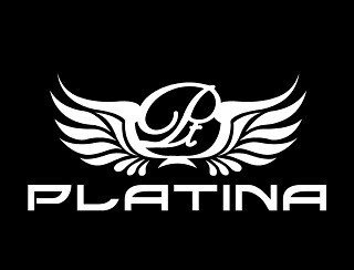 PLATINA лого