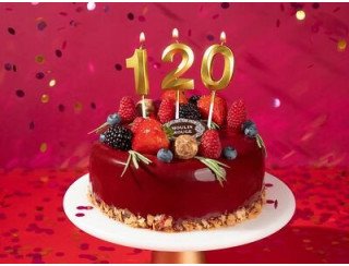 Север-Метрополь Традиции Вкуса лого