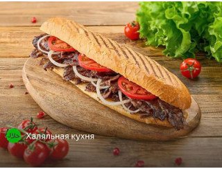 ИСКАНДЕР лого