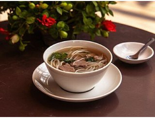 Вьет Лотос лого