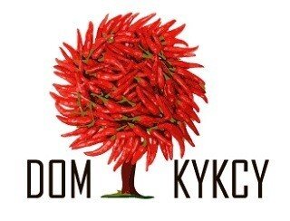 DOM KYKCY лого