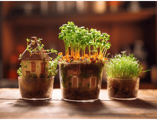 Альпийская свежесть лого