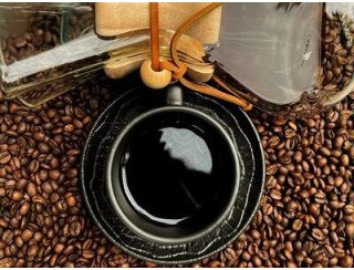 Кот на бочке лого