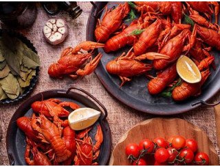 Volga Рак лого