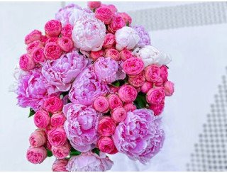 Салон цветов ассоль лого