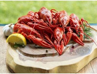 Раковарим лого