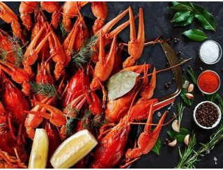 Раки варёные лого