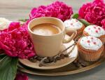Solo Сoffee