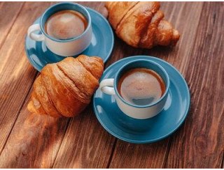 Робустьер лого