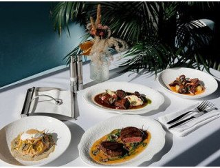 Белая чайка лого