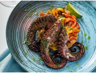 Аквариум лого