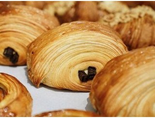 Сандра Булок лого