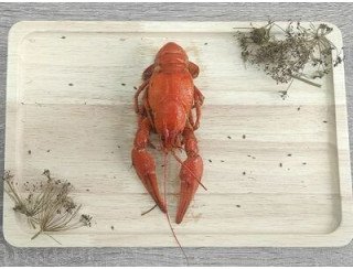 Раковарня Донские раки лого