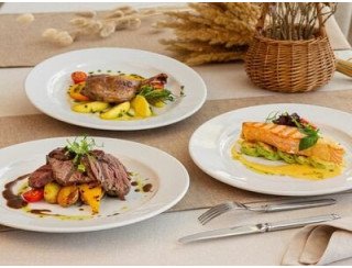 Доктор на крыше лого