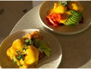 Myloverberry Tropic лого